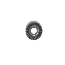 ALTERNATÖR GERGİ RULMANI P306-P406-P605-P806-XSARA 2.0 16V