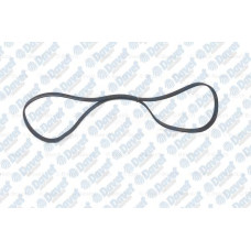 kanalli kayis 6pk1580