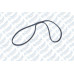 kanalli kayis r19-scenic-megane-clio express-palio 1-4i1-6i 3pk715