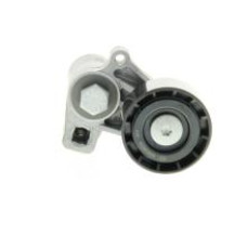 ALTERNATÖR GERGİ RULMANI KÜTÜKLÜ P206-306-406-PARTNER-BERLINGO-JUMPY-XSARA 1.9D-