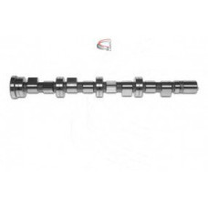 EKSANTRİK MİLİ EMME DUCATO-MASTER 2.3 JTD