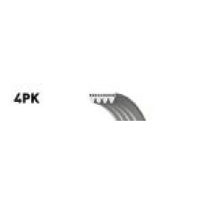 KANALLI KAYIŞ MONDEO III 2.0 16V-2.2 TDCI 00-07 -TRANSİT 2.0 TDCİ 00-06