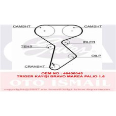TRİGER KAYIŞI 158x254 BRAVO-BRAVA-MAREA-PALIO 1.6 GD158H8P254 CT879