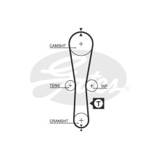 TRİGER KAYIŞI 087x170 RENAULT CLIO KANGO SYMBOL TWINGO 1.2 8V NISSAN KUBISTAR 1.