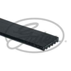 KANALLI KAYIŞ CLIO-KNG-P307-C5-C8