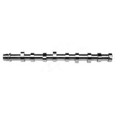 EKSANTRİK MİLİ P307-P206-P1007-C3-C4 1.4 HDI-FIESTA DÖKÜM