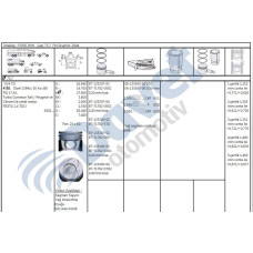 motor gomlek fiesta-p307-c3-p206 14hdi14tdci dv4td 7370mm std