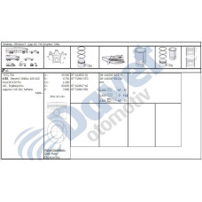 motor segmani laguna i 20i 16v n7q 050