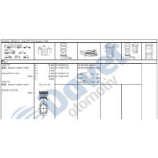 motor segmani megane ii-scenic-laguna 20 16v f4r 8270mm 050