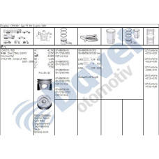 segman 060 75mm p206-307-407 1-6hdi dw6