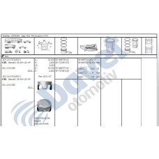 segman takimi 7900mm 050 farkli p301-c elysee-p208 13- p308 ii 14- ec5  ec5