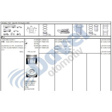 motor piston-segmani ducato 23jtd euro 3 110hp 8800mm 060