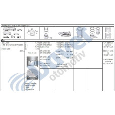 motor piston-segmani doblo 19d 8200mm-020mm std