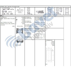 motor piston-segmani tempra slx 060