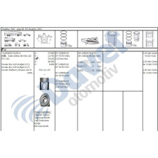 piston-segman 0-60 88mm fiat ducato 2-3jtd 02- euro3