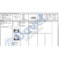 motor piston-segmani p307-p206-partner ii-berlingo ii-c3-c4- tu5jp416 16v 7900