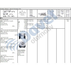 piston-segman std 80mm duz kanal kangoo megane laguna 1-9d f9q vivaro 1-9cdti