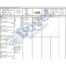 motor piston segman megane ii-scenic-clio iii-modus-laguna iii-kangoo 15dci 05-