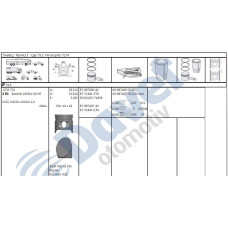 motor piston-segmani clio-logan 16 benzinli k7m 04-- 7950mm std