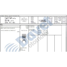 motor piston-segmani kangoo-clio-twingo 12i d7f 69mm 050