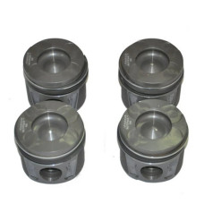 Piston Segman Takım Linea 1,3 (0,80)