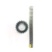 YAĞ POMPA ZİNCİR (R9M) <22 DİŞ>