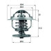 termostat  87°  vag 19tdi