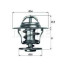 TERMOSTAT 80C LAGUNA-ASTRA-GOLF-JETTA-PASSAT-CORDOBA-IBIZA-TOLEDO-CADDY