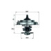 TERMOSTAT 92C A4 1.8 QUATTRO-A4 2.4-2.8-A6 1.8T QUATTRO-2.4-2.8-PASSAT 1.8T 20V