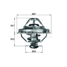 TERMOSTAT BMW M41 M51 E34 E36 E38 E39 RANGE ROVER 2 94 02 OPEL OMEGA B ROVER 800