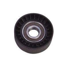 ALTERNATÖR GERGİ RULMANI CLIO II 98> KANGOO 97>LAGUNA I-II MASTER II 06>TRAFIC I