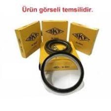 DİFERANSİYEL SAĞ-SOL ÇIKIŞ RENAULT 12 TOROS