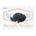 HAVA AKISMETRE DEBIMETRE PEUGEOT 1007-206-207-3008-307-308-407-5008 1.6 HDI 90BG