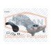 yag pompasi fiorino doblo palio linea albea1-3jtd astra corsa 1-3cdti