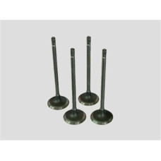 SUBAP TAKIMI EMME EGZOZ VECTRA A-B-ASTRA F-ASTRA G-OMEGA B 1.8İ-2.0İ-2.5İ 16V IN