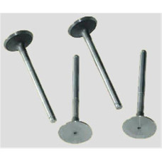 SUBAP EMME EGZOZ KNG-EXP-R19 F8Q-MGN-LGN 1.9 00