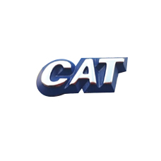 Yazı Cat Ducato