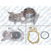 DEVIRDAIM RENAULT CLIO III 1.2 16V 05-